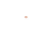 448.60.04.2 - O-Ring